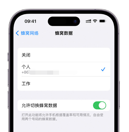 郸城苹果维修服务分享如何在iPhone上使用双卡 